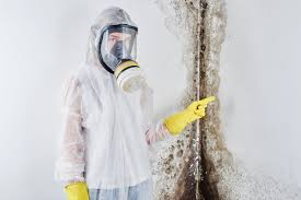 Best Air Quality Testing for Mold Spores in Ridgeway, VA